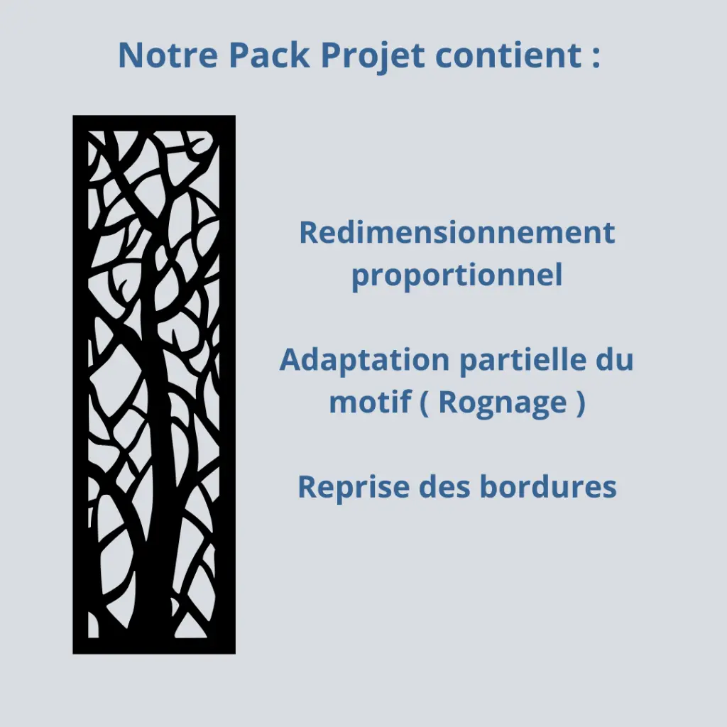 REDIMENTIONNEMENT.webp