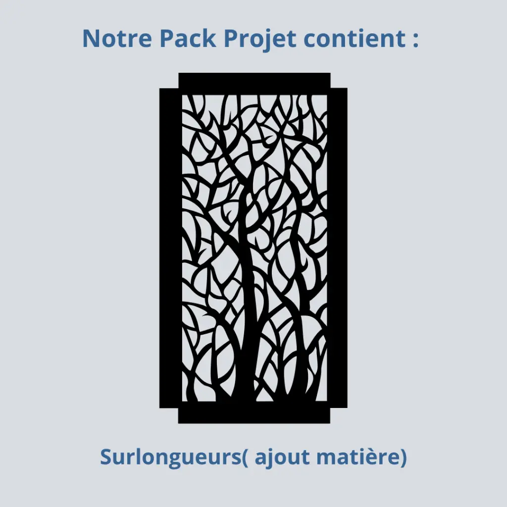 SURLONGUEURS.webp