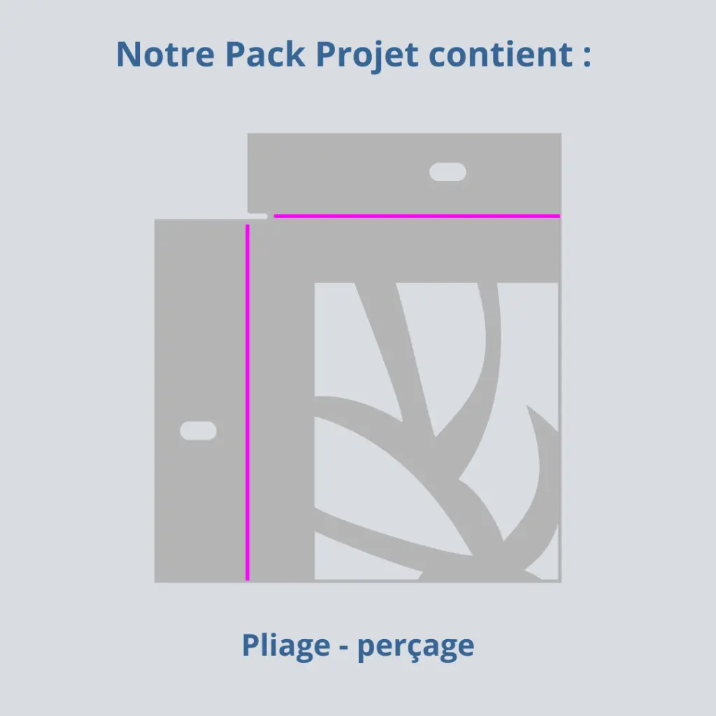 PLIAGE.webp