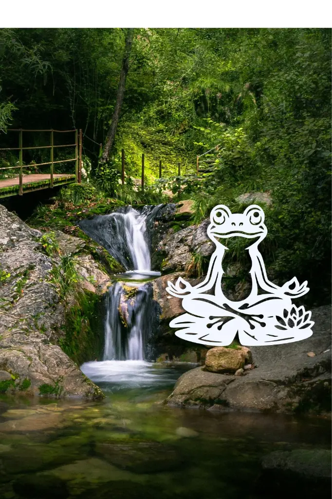 grenouille zen .webp