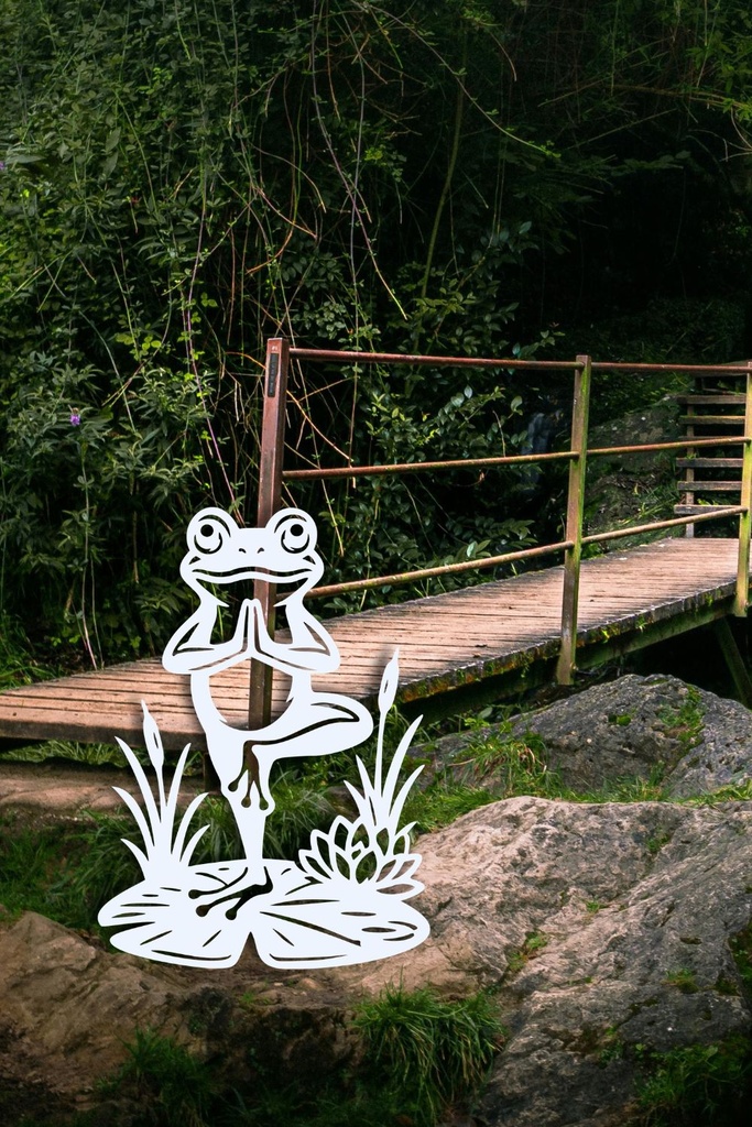 grenouille zen .jpg