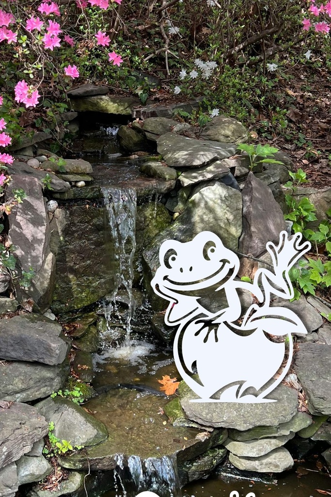 A20 GRENOUILLE ZEN.jpg